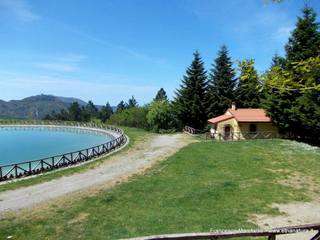 stoleoni-27-11-2014 18-03-44